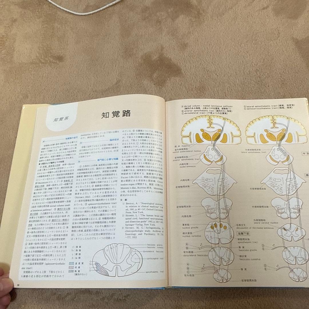 医学書　臨床のための神経機能解剖学　定価:税込¥17,600