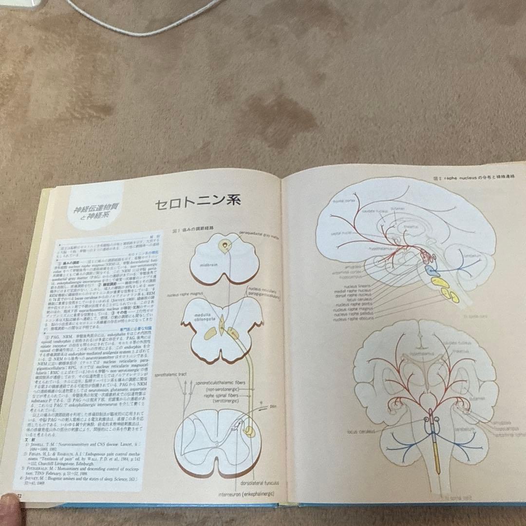 医学書　臨床のための神経機能解剖学　定価:税込¥17,600
