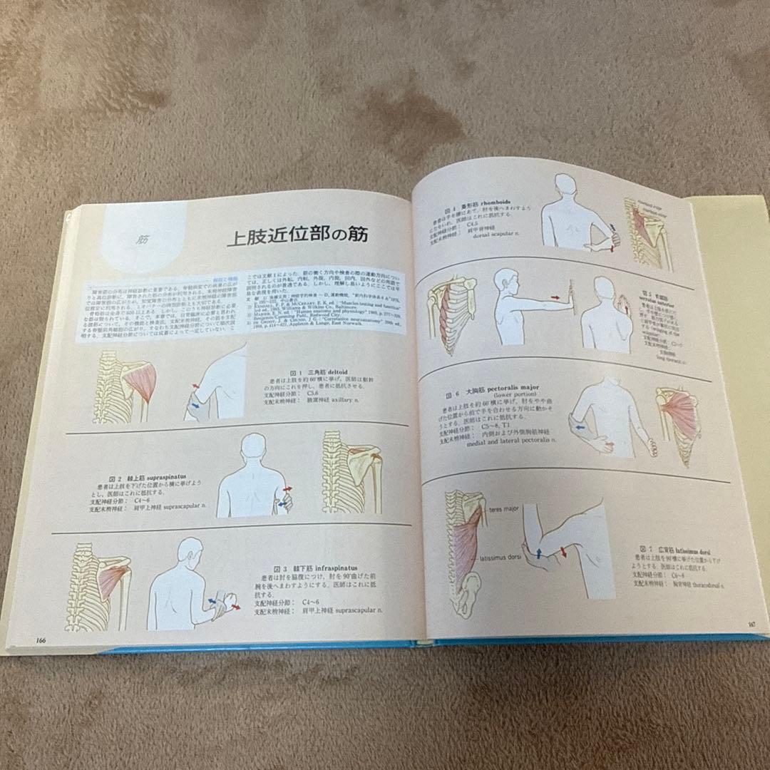 医学書　臨床のための神経機能解剖学　定価:税込¥17,600