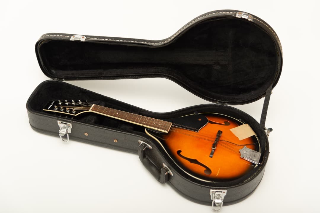 【最終値下】【中古】ARIA マンドリン AM-20 ピックアップ・ケース付