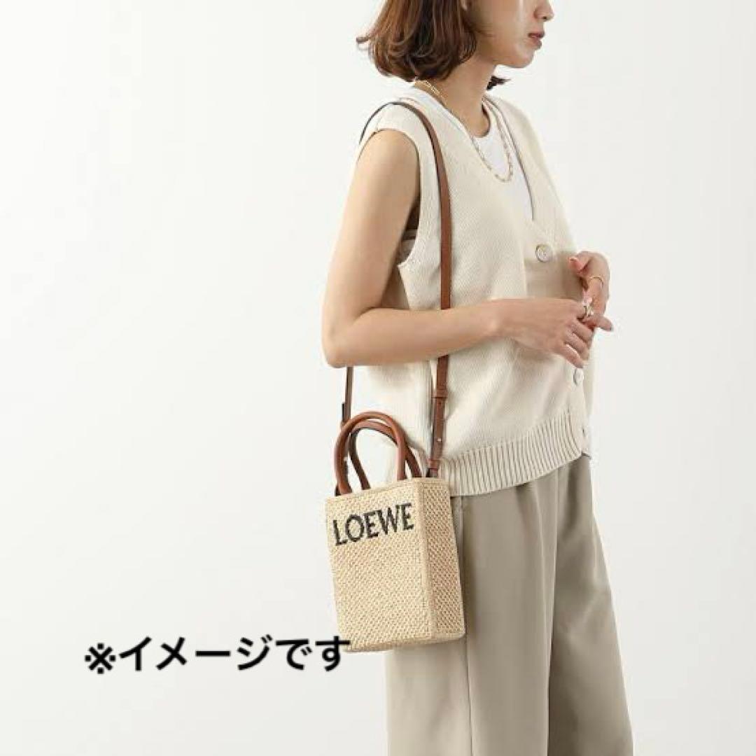 LOEWE ロエベ カゴ ショルダー バッグ A5 スタンダード ミニトート