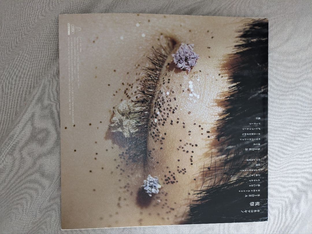 カネコアヤノ　祝祭　レコード