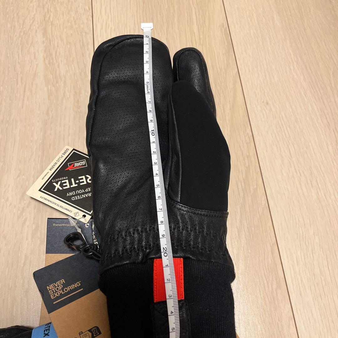 Montana Pro GORE-TEX® Mitts 【North Face】