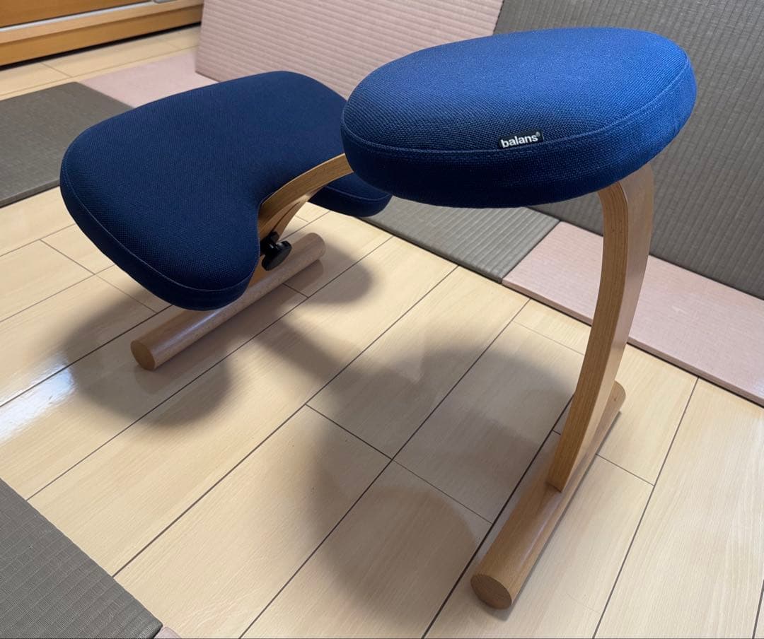 サカモトハウス社 バランスチェア・イージー 純正カバー（ネイビー）付