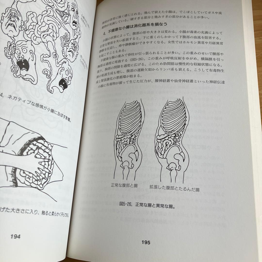 気内臓療法　二冊まとめて