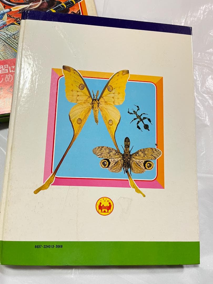 帯付き 小学館 なぜなに学習図鑑 13 昆虫のふしぎ