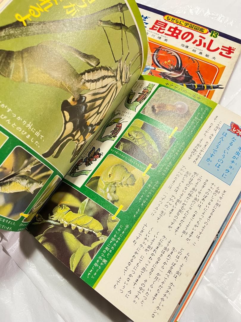 帯付き 小学館 なぜなに学習図鑑 13 昆虫のふしぎ