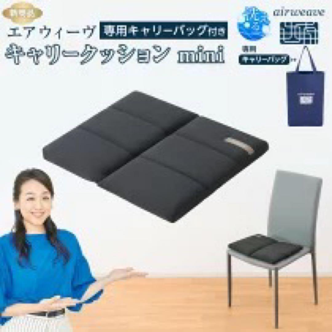 エアウィーヴ キャリークッションミニ　黒　airweave