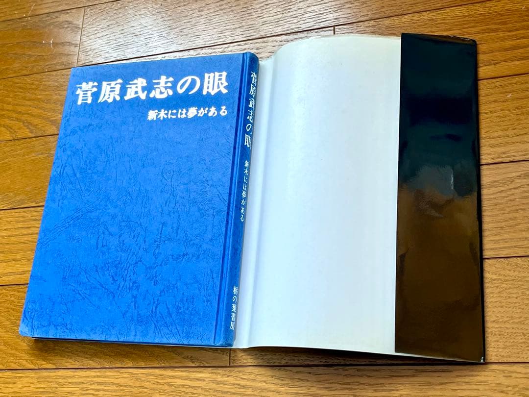 盆栽 さつき 菅原武志の眼 新木には夢がある