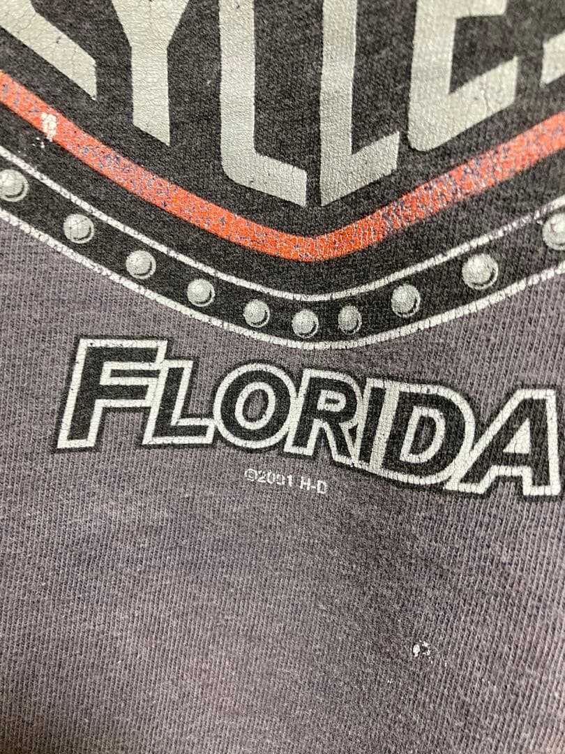 雰囲気◎2001 Harley-Davidson エンジン　フレイム　Tシャツ