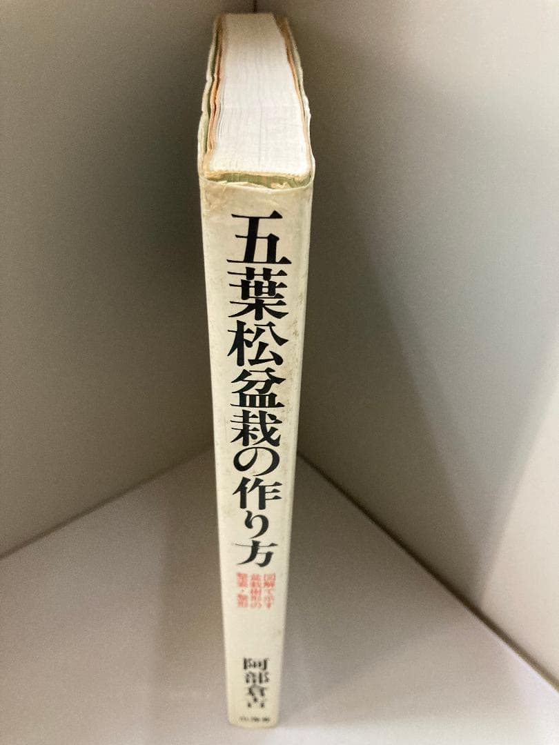 五葉松盆栽の作り方―図解で示す盆栽樹形の整姿・整形