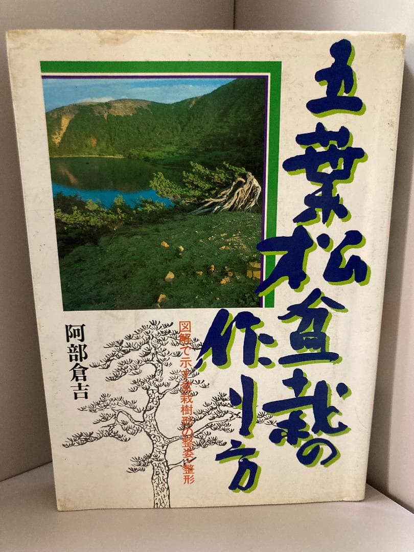 五葉松盆栽の作り方―図解で示す盆栽樹形の整姿・整形
