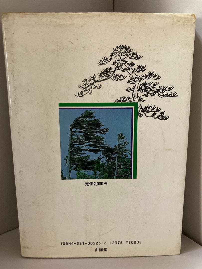 五葉松盆栽の作り方―図解で示す盆栽樹形の整姿・整形