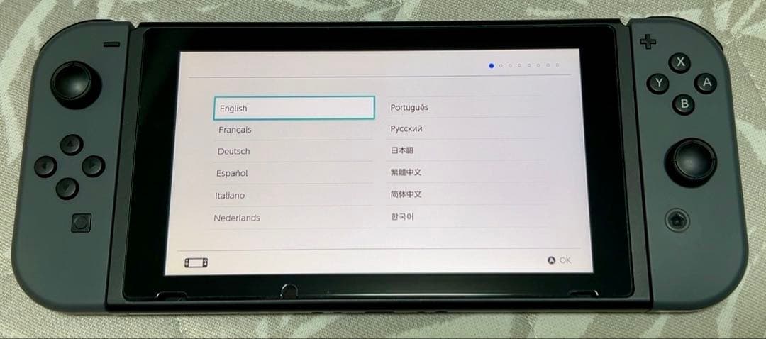 Nintendo Switch グレー 本体 プロコン付き