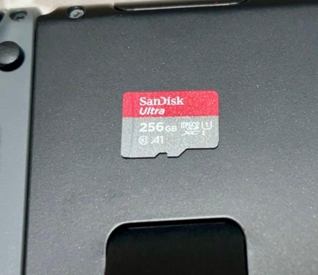 Nintendo Switch グレー 本体 プロコン付き