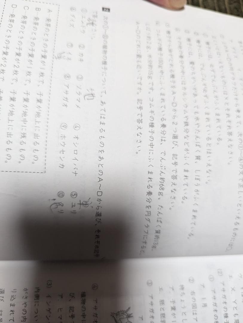 浜学園　小学5年　国語・算数・理科　マスターコース1年分テキスト