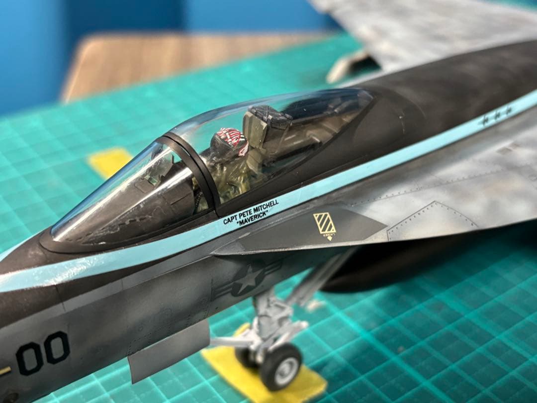 戦闘機　プラモデル　完成品　ハセガワ　1/48 F/A18-E