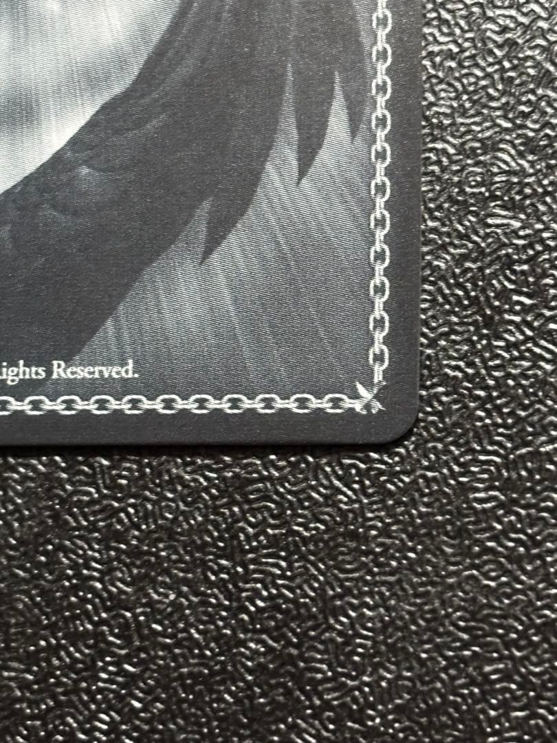 ヴァイス　ネガネビュラス　黒雪姫　ネガ・ネビュラス　電撃文庫　SP サイン