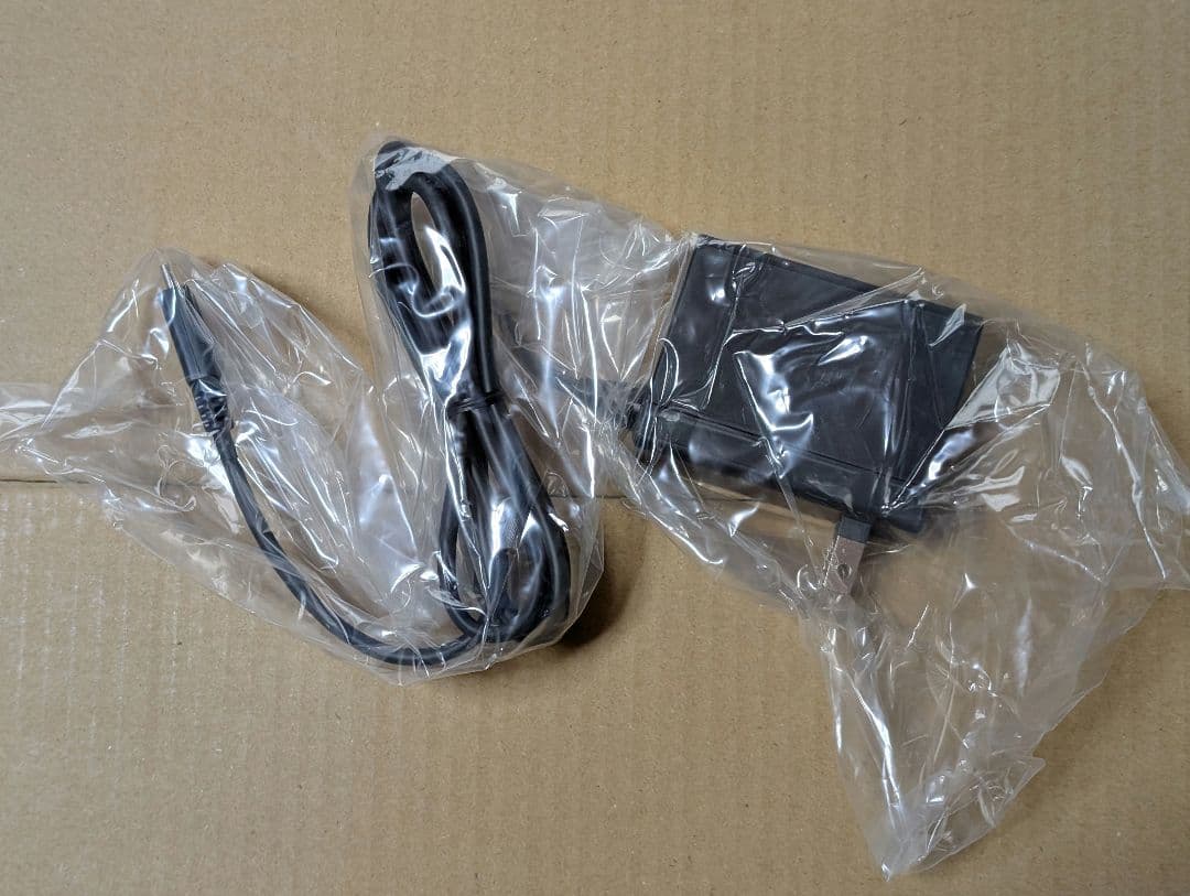 Nintendo Switch Lite ターコイズ 本体 ケース付属