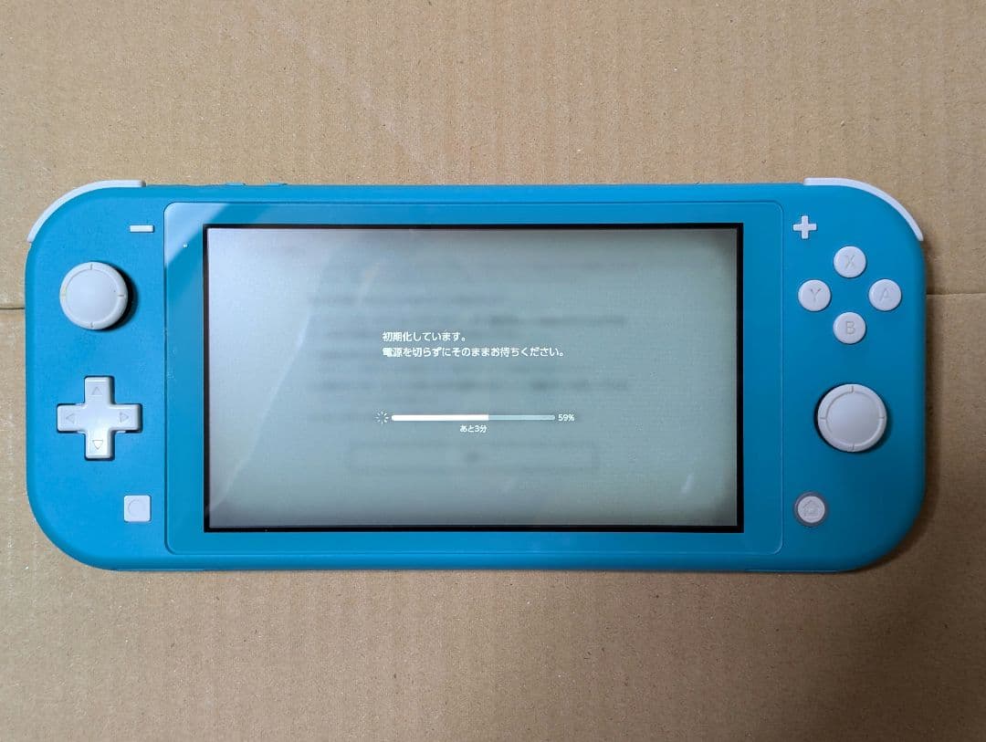 Nintendo Switch Lite ターコイズ 本体 ケース付属