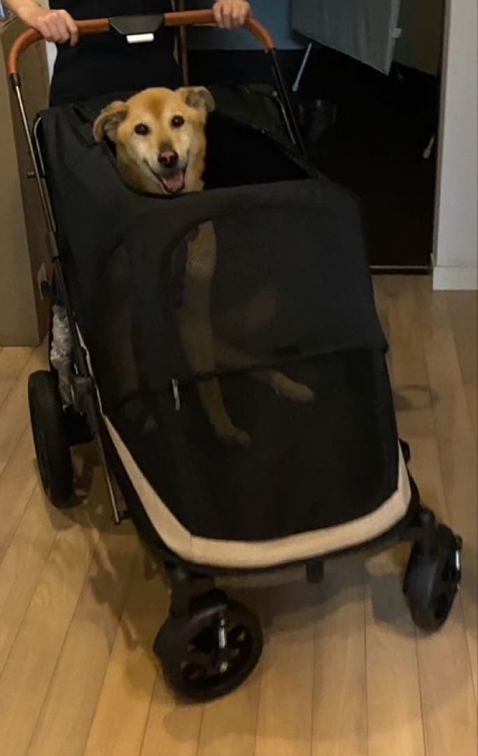 Totoro ball 大型犬カート 大型犬バギー