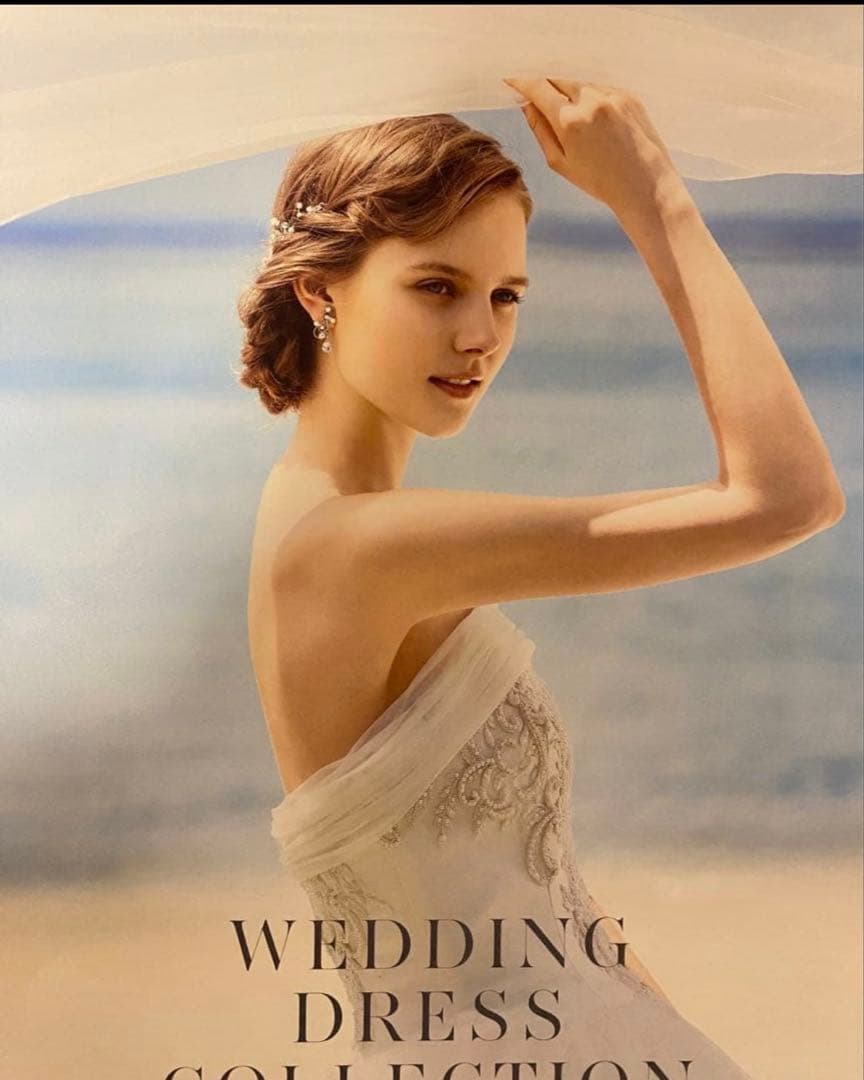 ワタベウェディング　Avica LUANA-1 ウェディングドレス　プリンセス