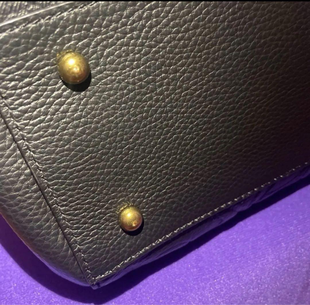 ANNA SUI ノヴァ　2way バッグ ブラック 牛革