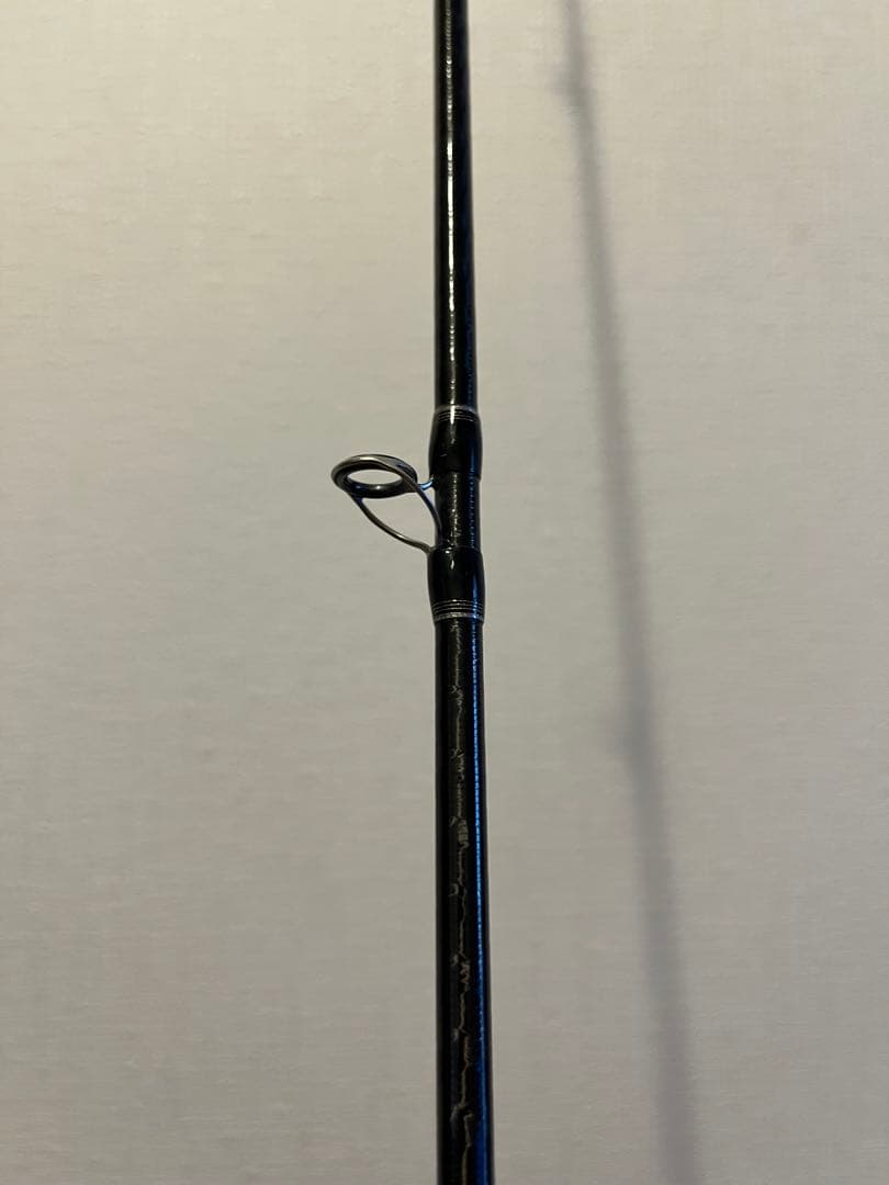 ポイズン　グロリアス　ロッド2本セット