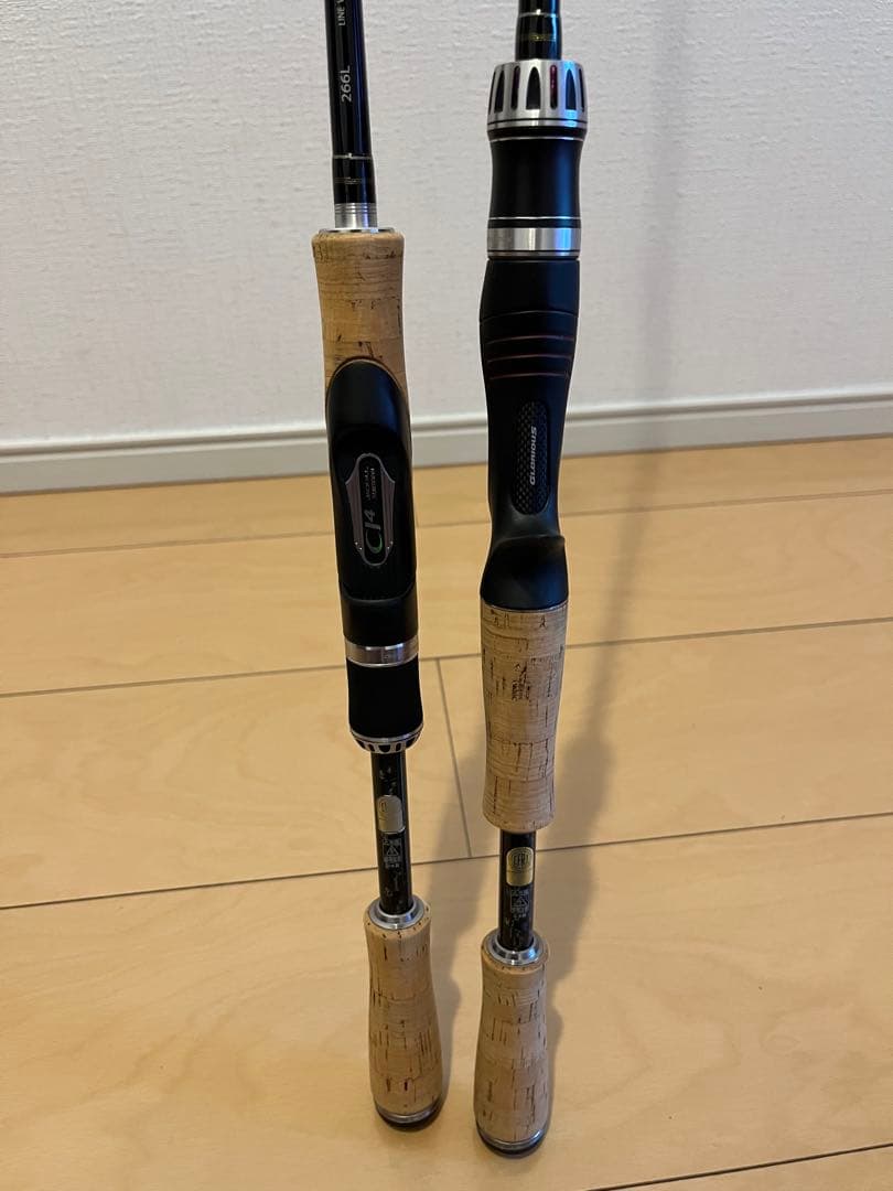 ポイズン　グロリアス　ロッド2本セット