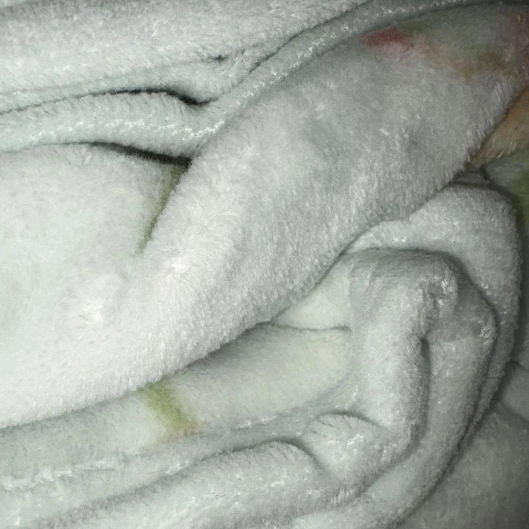 新品未使用☆ウェッジウッド 寝具セット　西川産業