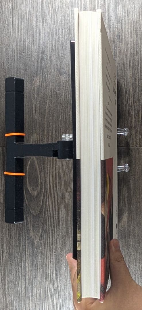 洋書John Baldessari The Städel Paintings