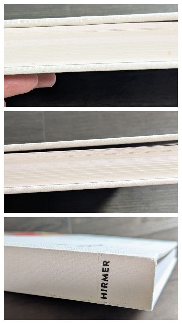 洋書John Baldessari The Städel Paintings