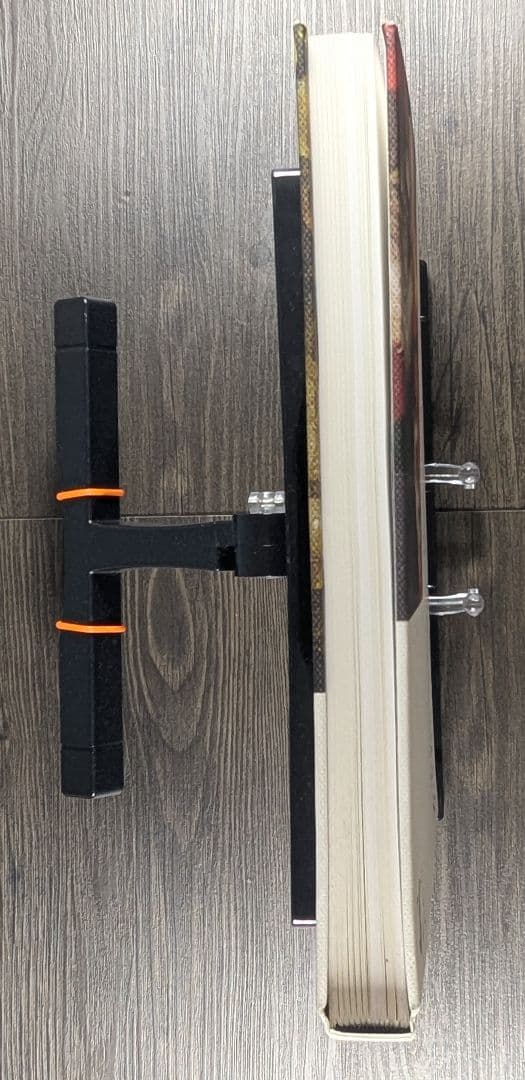 洋書John Baldessari The Städel Paintings