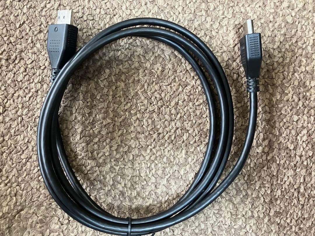 Nintendo Switch初期型ネオンブルー×ネオンレッド、ホリパッド付き