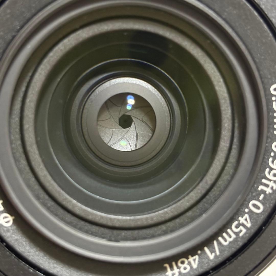 値下【美品】SONY FE4-5.6/28-60 SEL2860 ズームレンズ