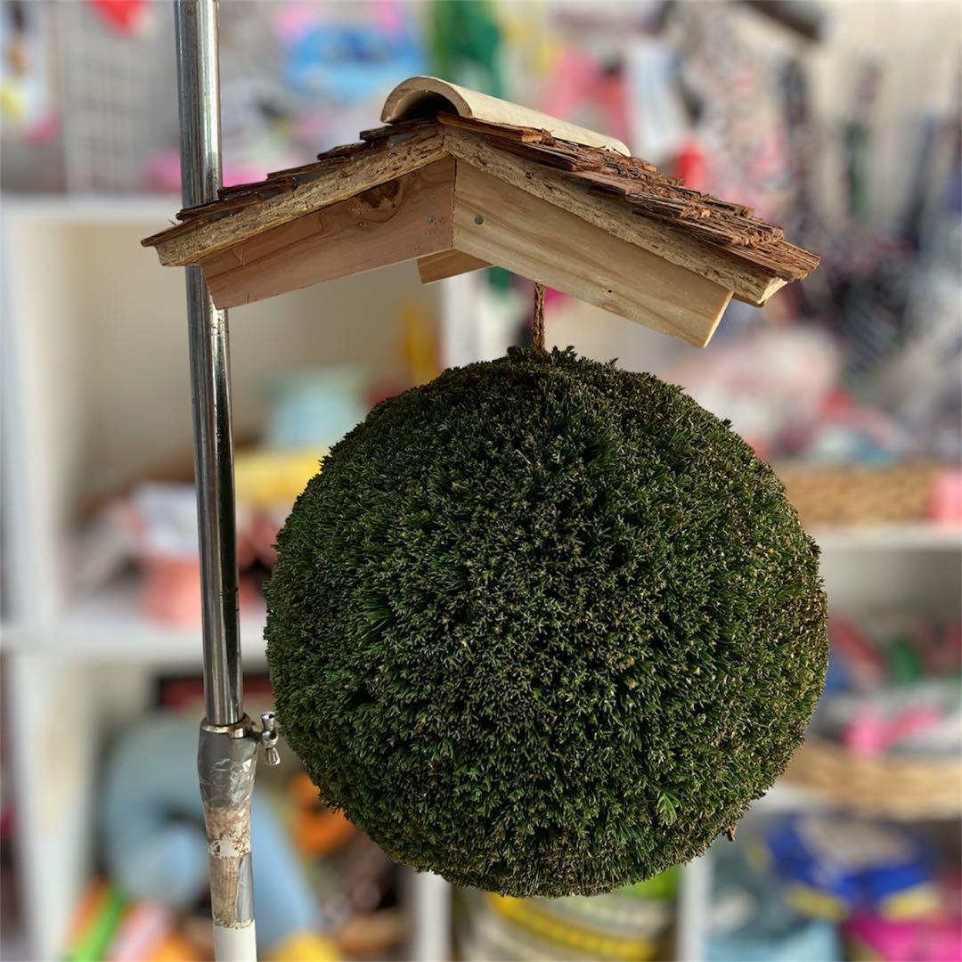 杉玉【屋根付き】⑤