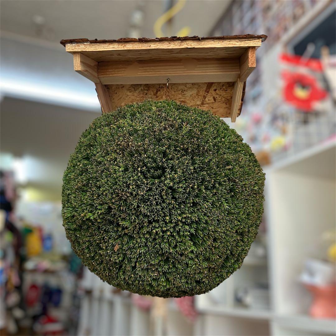 杉玉【屋根付き】⑤