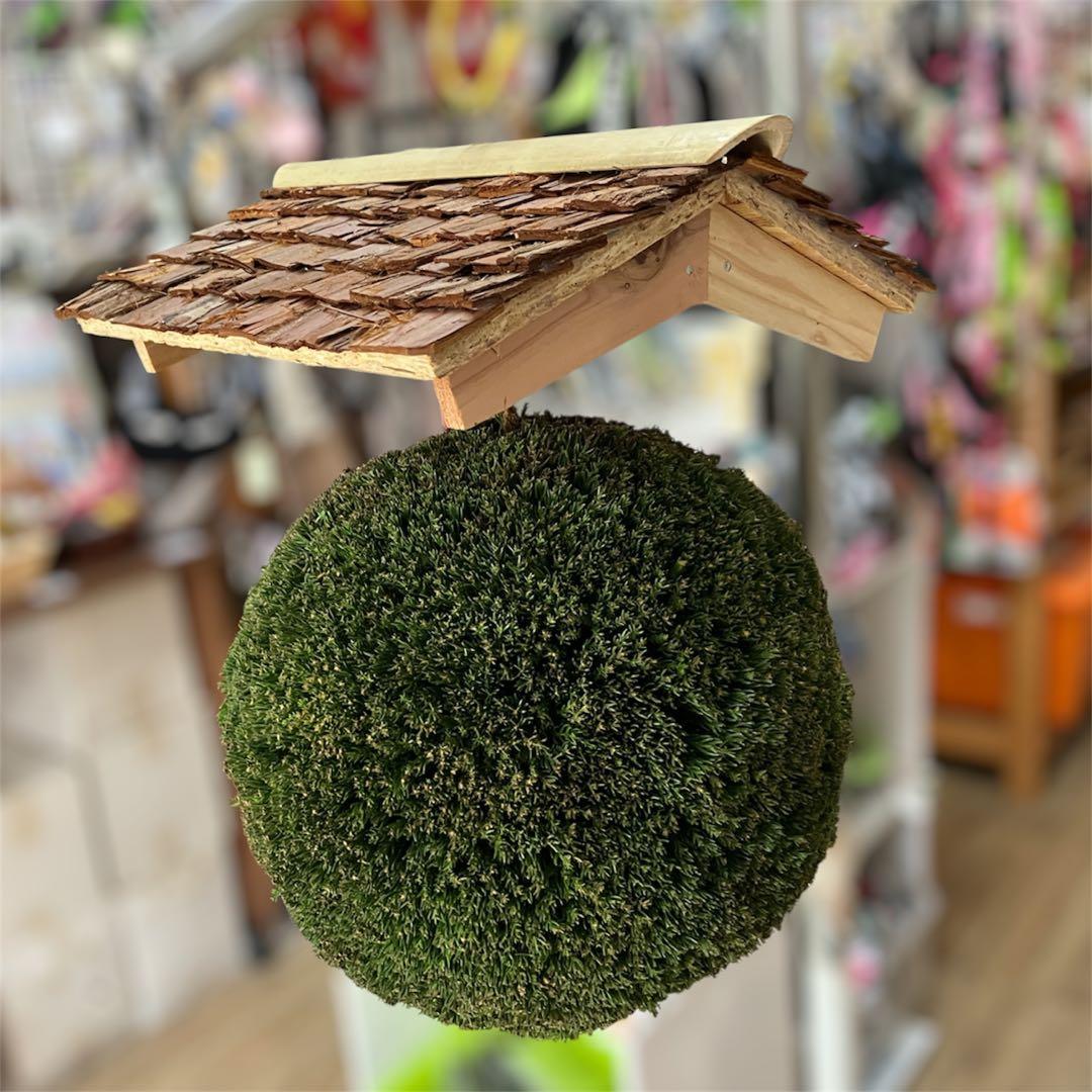 杉玉【屋根付き】⑤