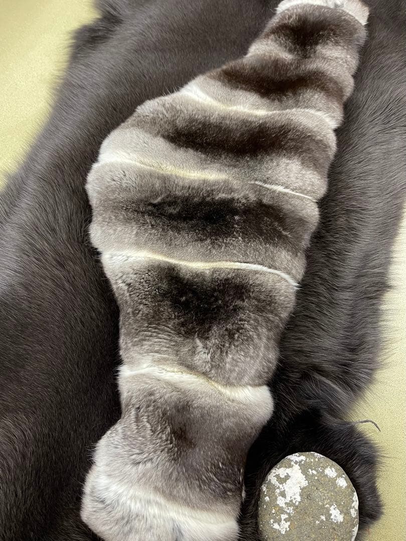 チンチラ　ラウンドカラー／天然色　スヌードタイプ／GAKE日本製❣️