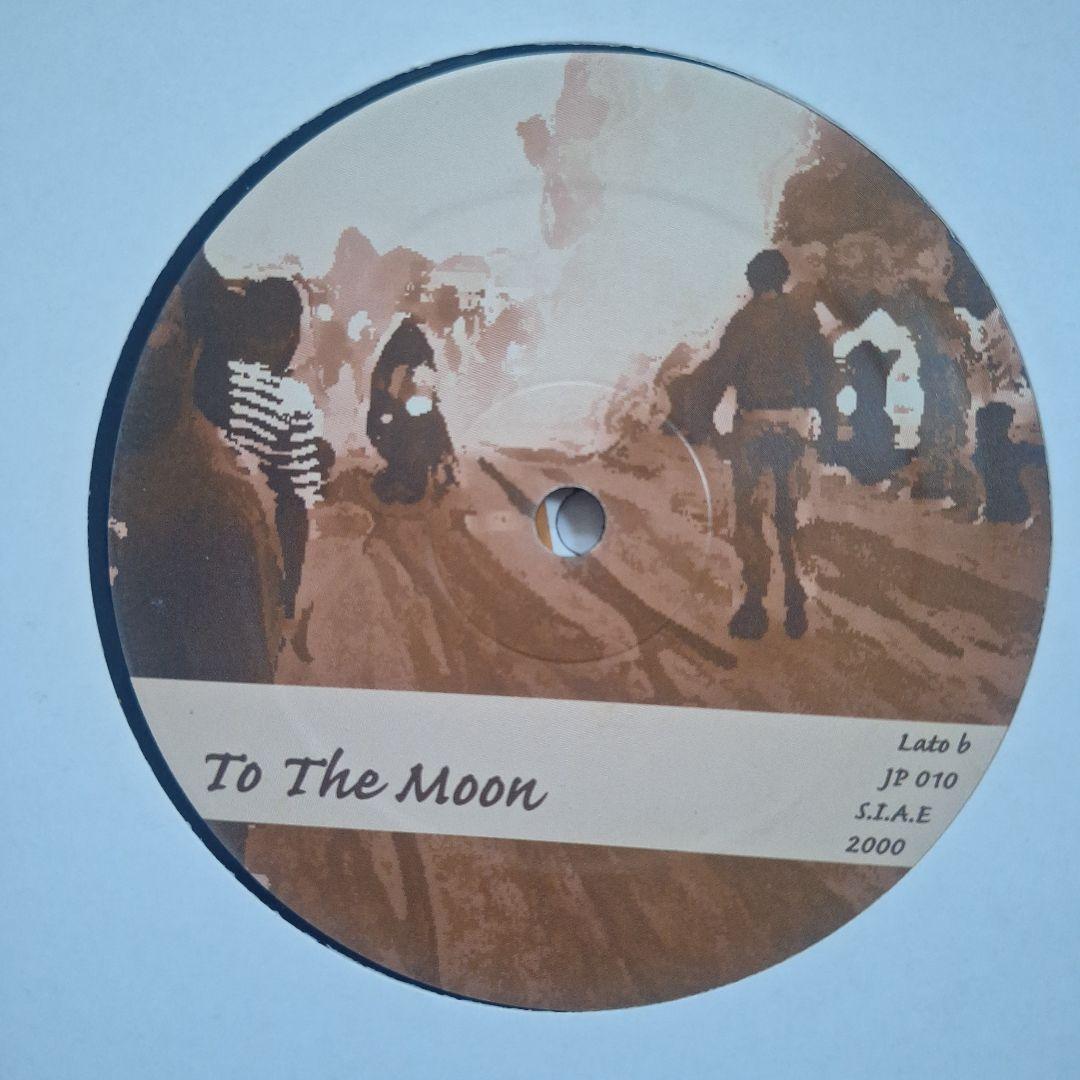 テクノ ハウス デジロック系 レコード 11枚セット