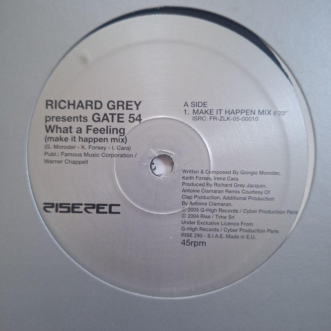 テクノ ハウス デジロック系 レコード 11枚セット