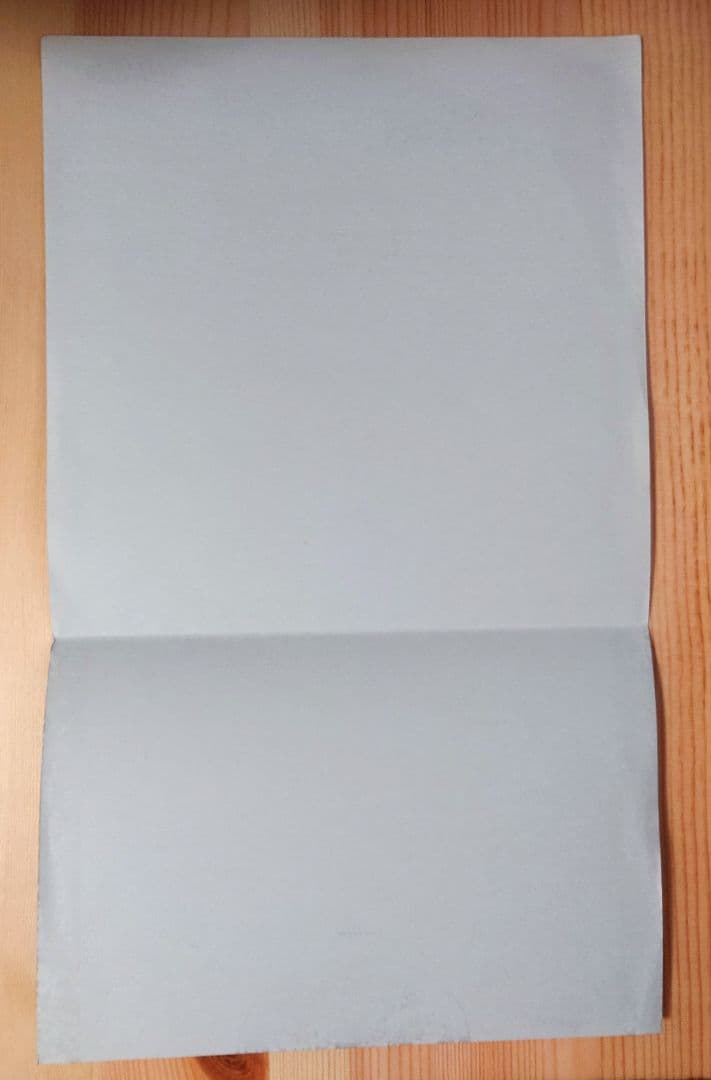 SHINOBU 成田忍 CERAMIC LOVE／EARTH SHY-2002