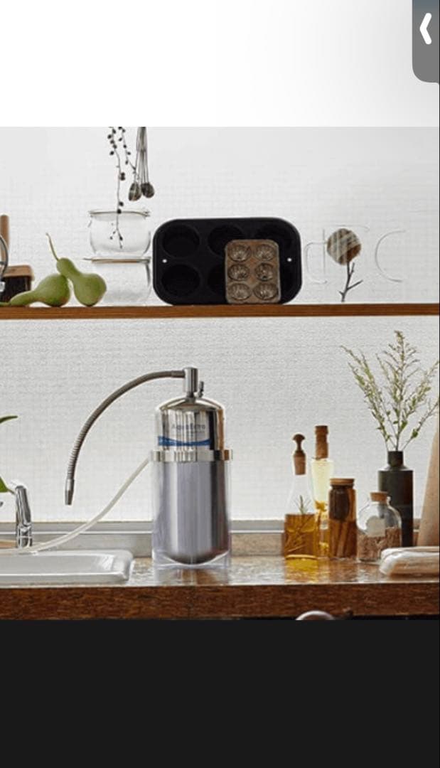 Multipure Aquaextra CB11AS浄水器カートリッジのみ