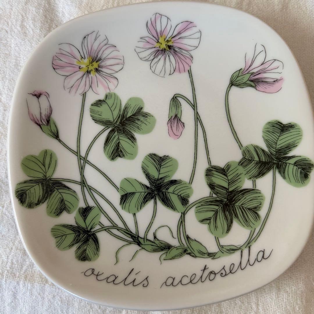 ARABIA ボタニカ　コミヤマカタバミ