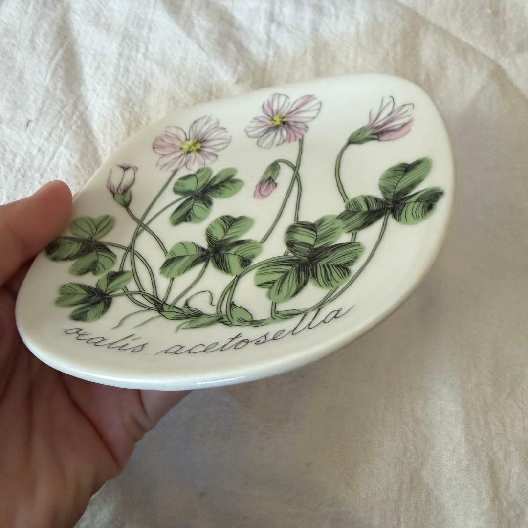 ARABIA ボタニカ　コミヤマカタバミ