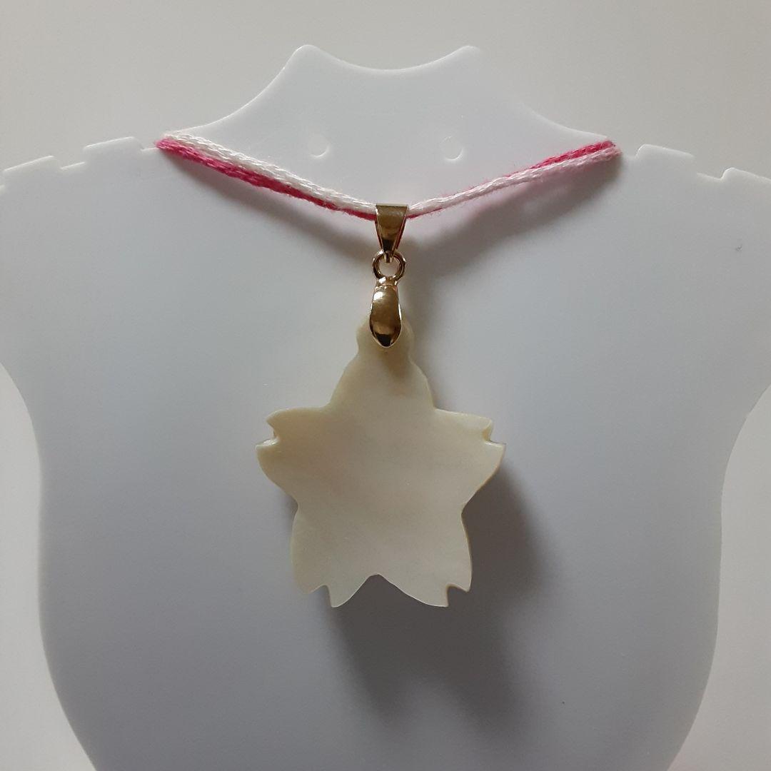 夜光貝　(カフェ結様。お取り引き中　)　『三点セット』