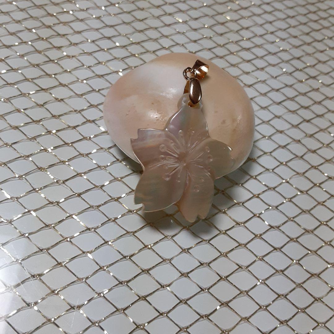 夜光貝　(カフェ結様。お取り引き中　)　『三点セット』