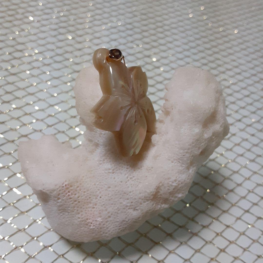 夜光貝　(カフェ結様。お取り引き中　)　『三点セット』