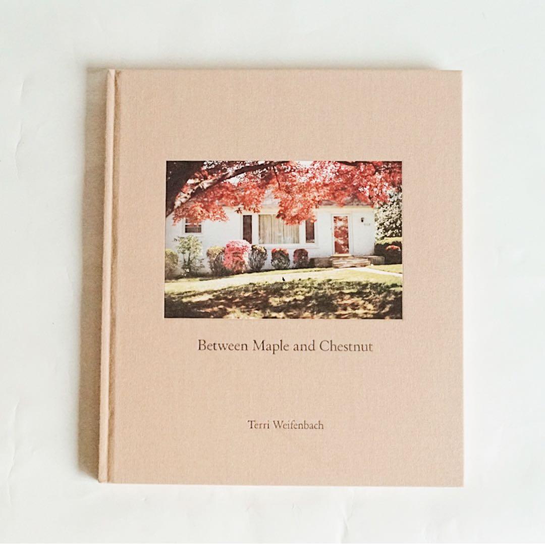 「Between Maple and Chestnut」写真集