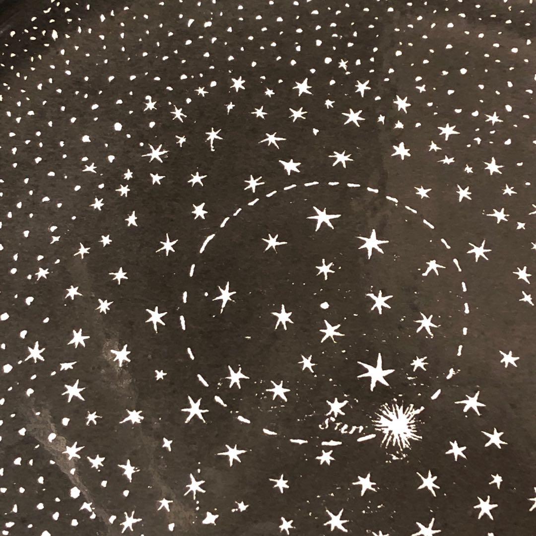 未使用　ラージサイズ　アスティエ　ジョンデリアンコラボ　スタープレート